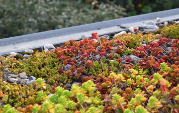 the cost of Compton Valence green roof installation