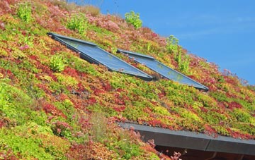 Compton Valence living roof systems
