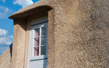Compton Valence thatch roof disadvantages