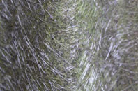 Compton Valence fibreglass roof work